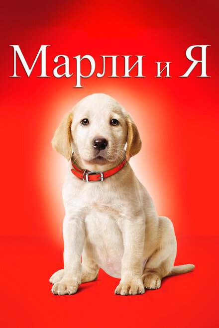 Марли и я