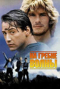На гребне волны
