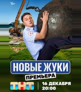 Жуки
