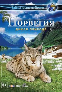 Норвегия 3D: Дикая природа