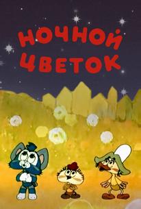 Ночной цветок