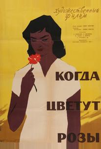 Когда цветут розы
