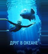 Друг в океане
