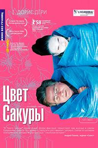 Цвет сакуры