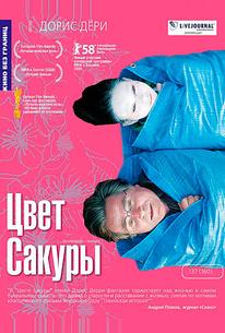 Цвет сакуры