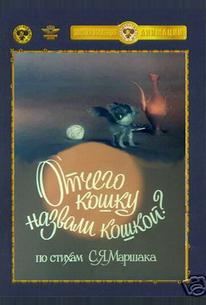 Отчего кошку назвали кошкой