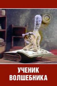 Ученик волшебника