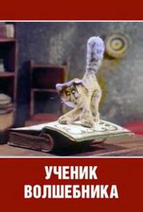 Ученик волшебника
