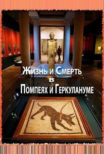 Жизнь и смерть в Помпеях и Геркулануме