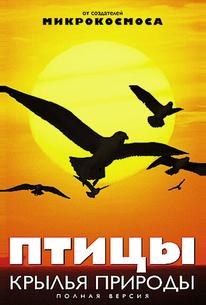 Птицы: Крылья природы