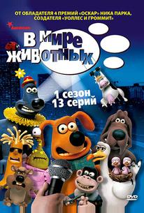 В мире животных