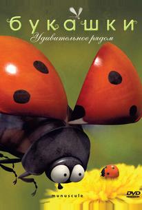 Букашки