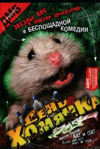 День хомячка