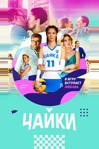 Чайки
