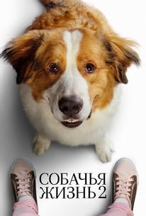 Собачья жизнь 2